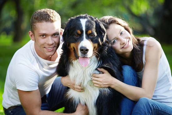 Animals from Breeders: What to Know Before You Buy